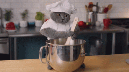 a gif of a cat cooking
